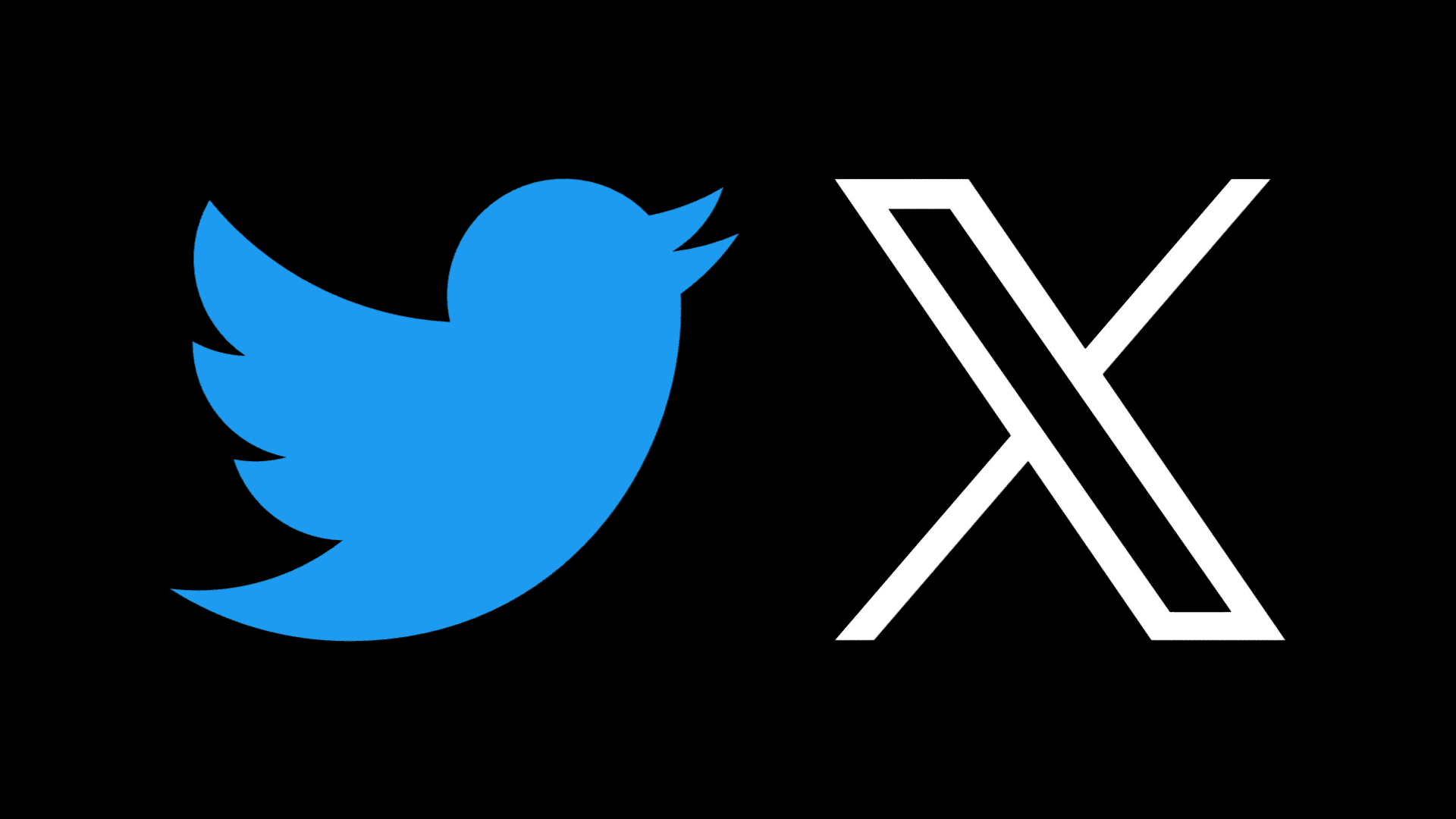 X begynder guide 2026 (Tidliger Twitter)