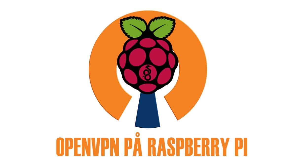 Sæt OpenVPN op på en Raspberry PI