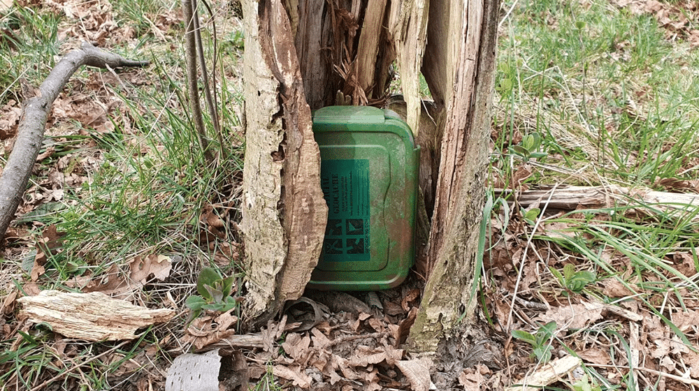 Geocaching for begyndere: Sådan kommer du i gang med moderne skattejagt 2026